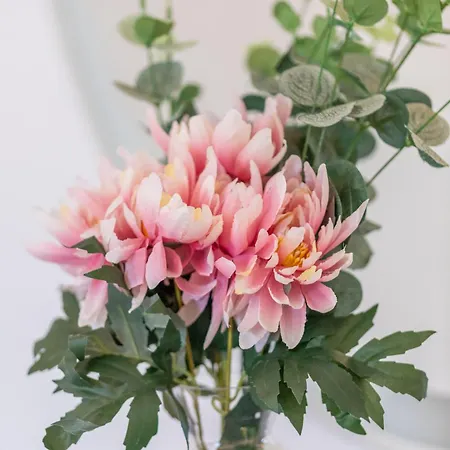 Eguzkilore - Baskeyrentals *