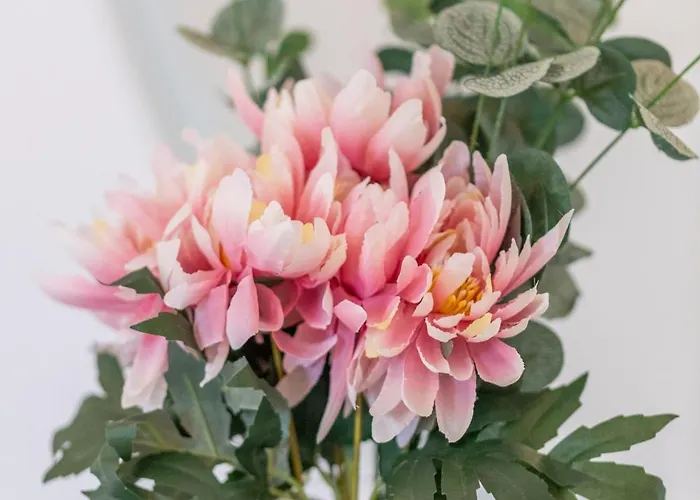 Eguzkilore - Baskeyrentals *